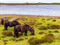 Isle of South Uist